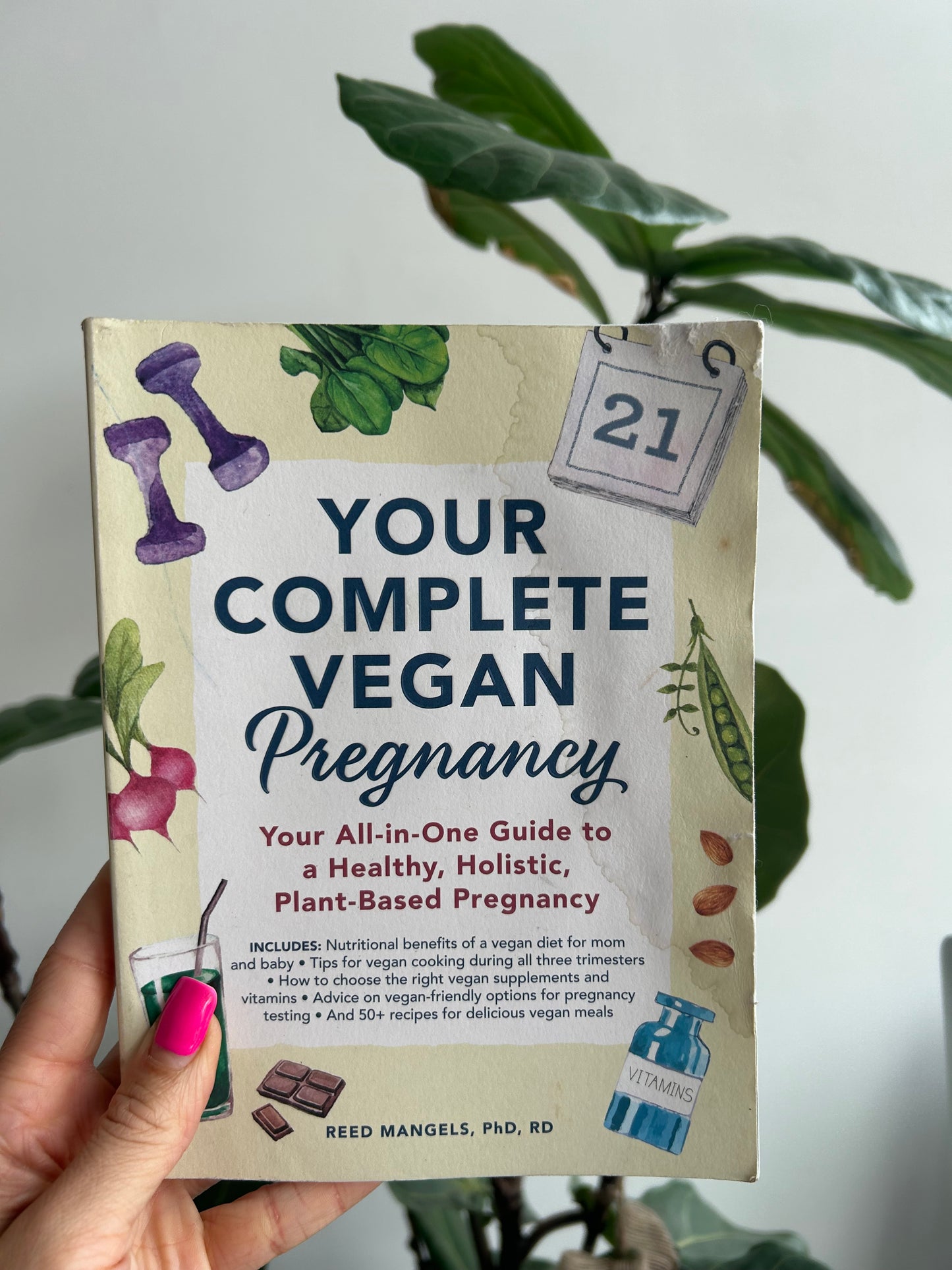 Your Complete Vegan Pregnancy