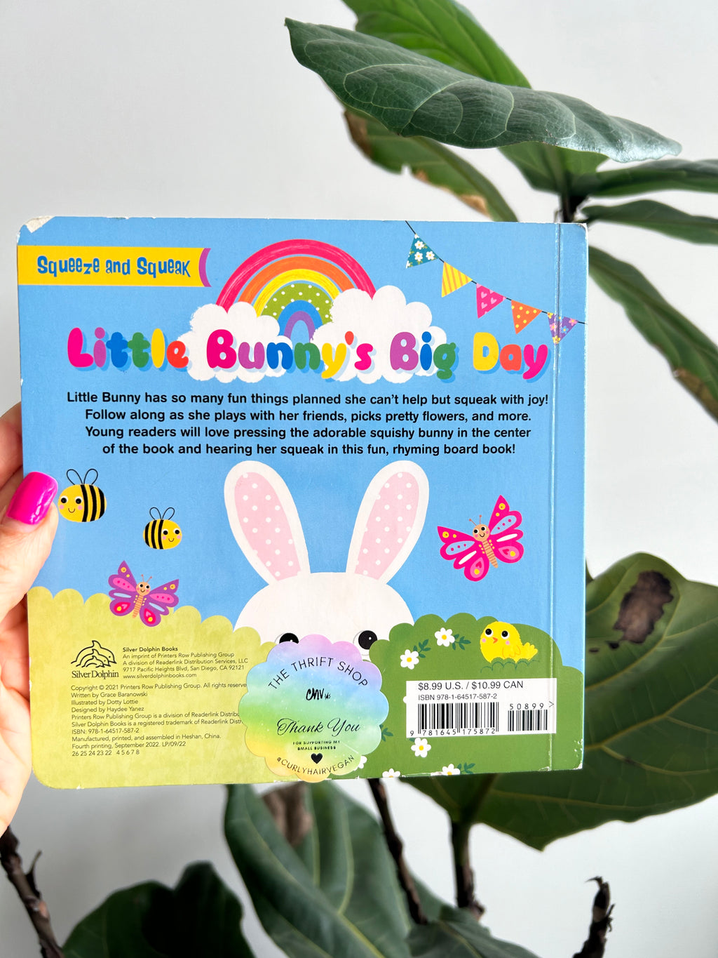 Little Bunny’s Big Day