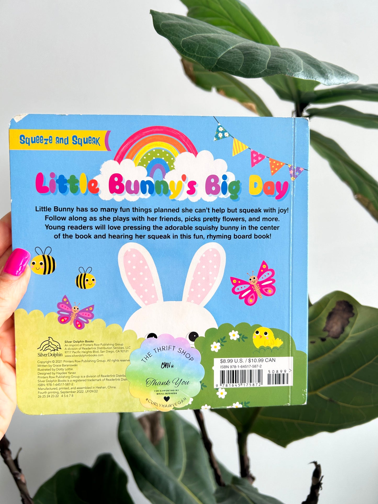 Little Bunny’s Big Day