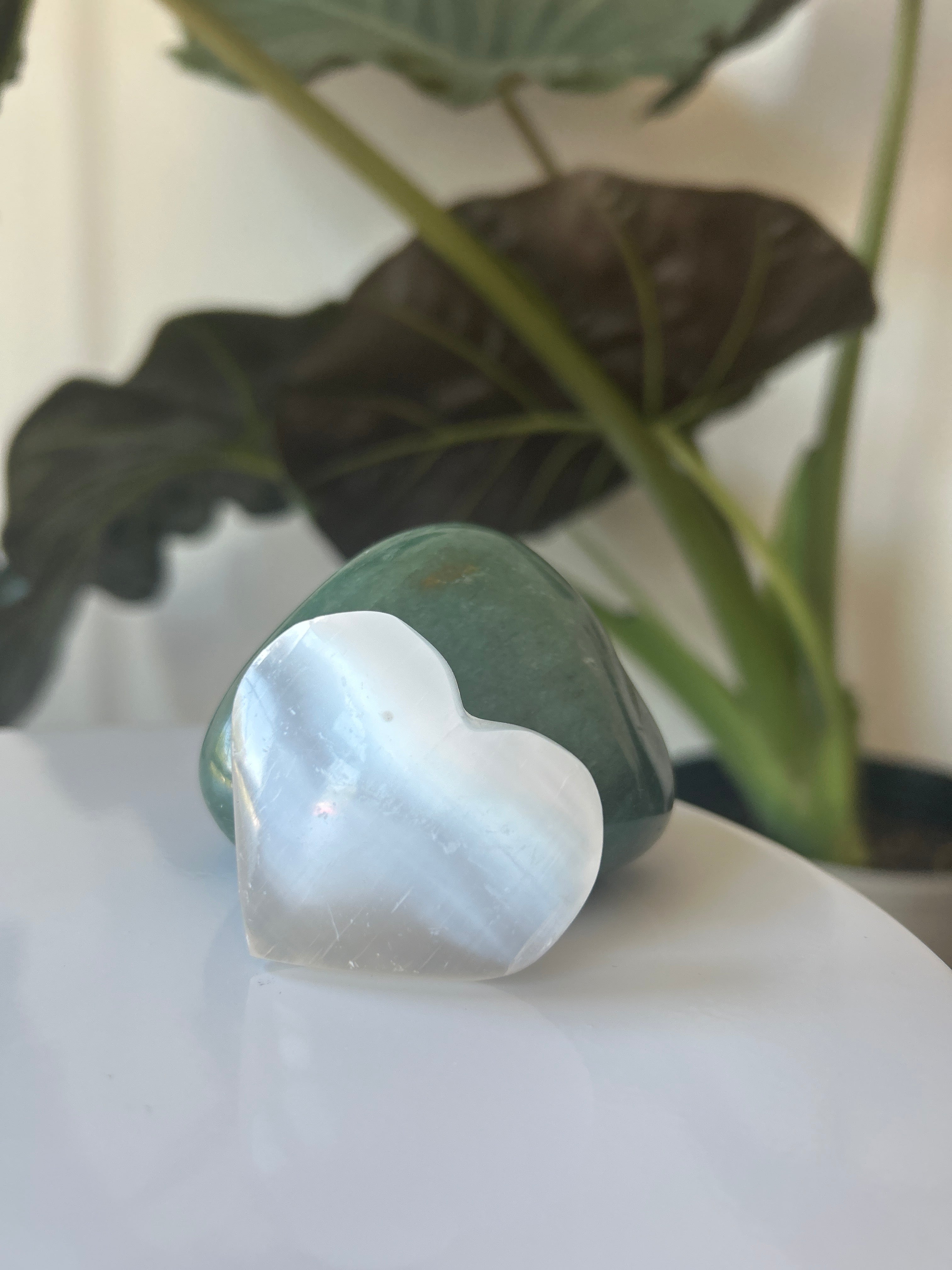Clear The Heart Bundle