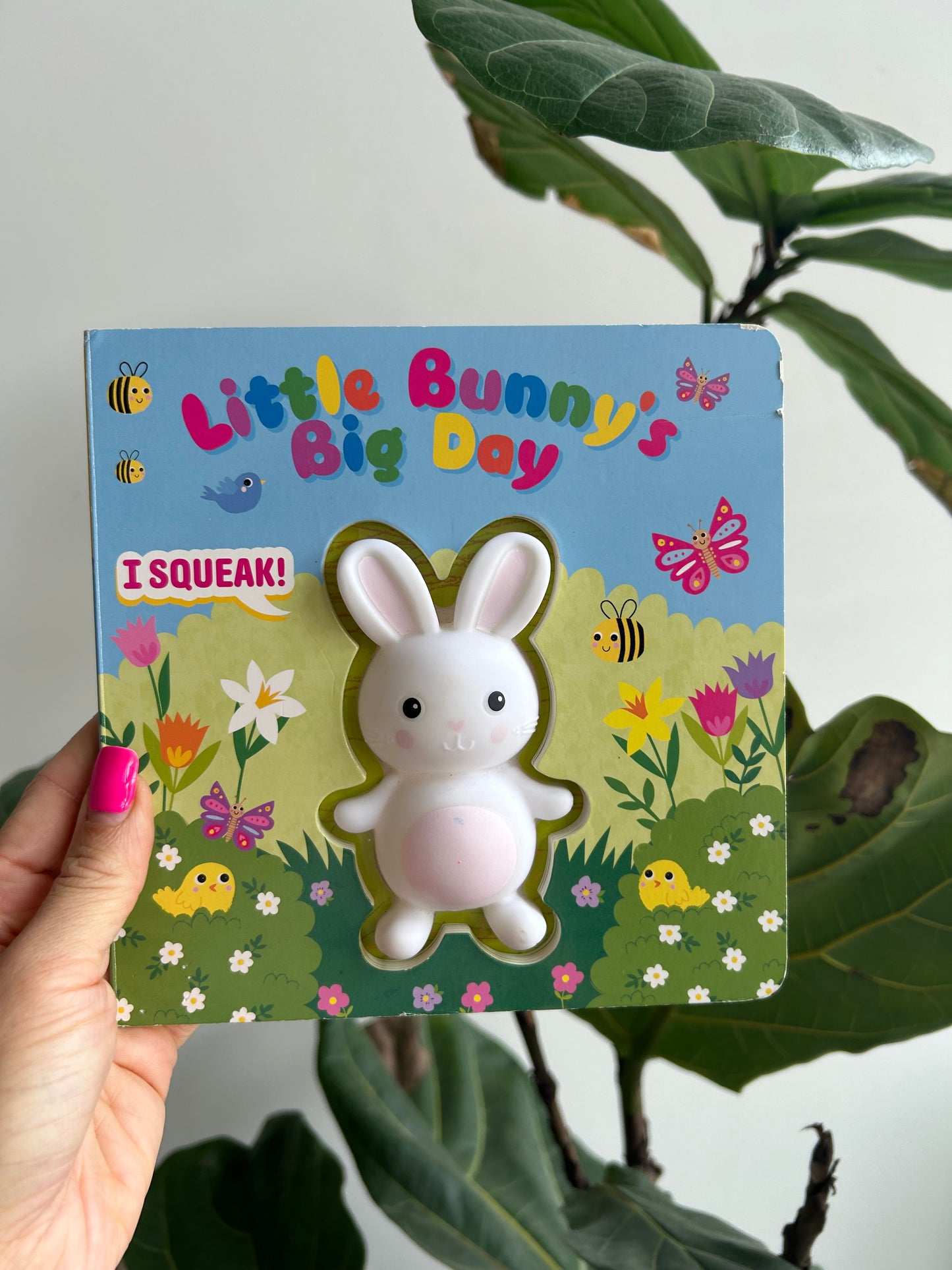 Little Bunny’s Big Day