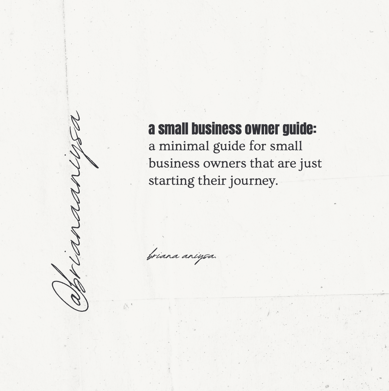 Small Business Owner Guide